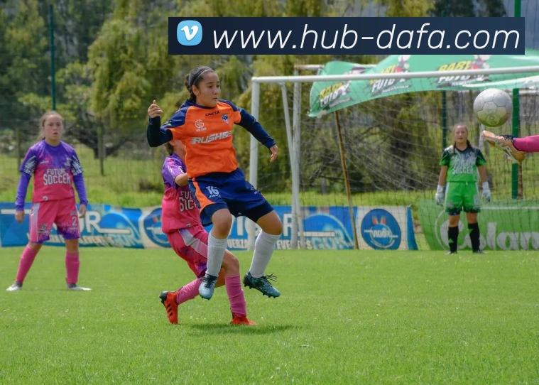 大发彩票发展历程